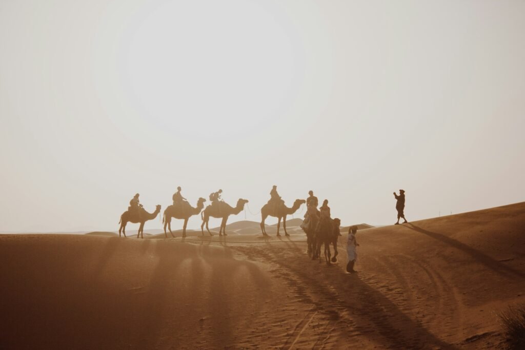 Camel caravan crossing Sahara dunes in the morning haze, the desert you fly over on a helicopter tour in Morocco