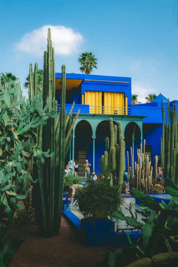 Blue villa and cacti in the Majorelle Garden, Marrakech, the first stop of the Majorelle Garden tour