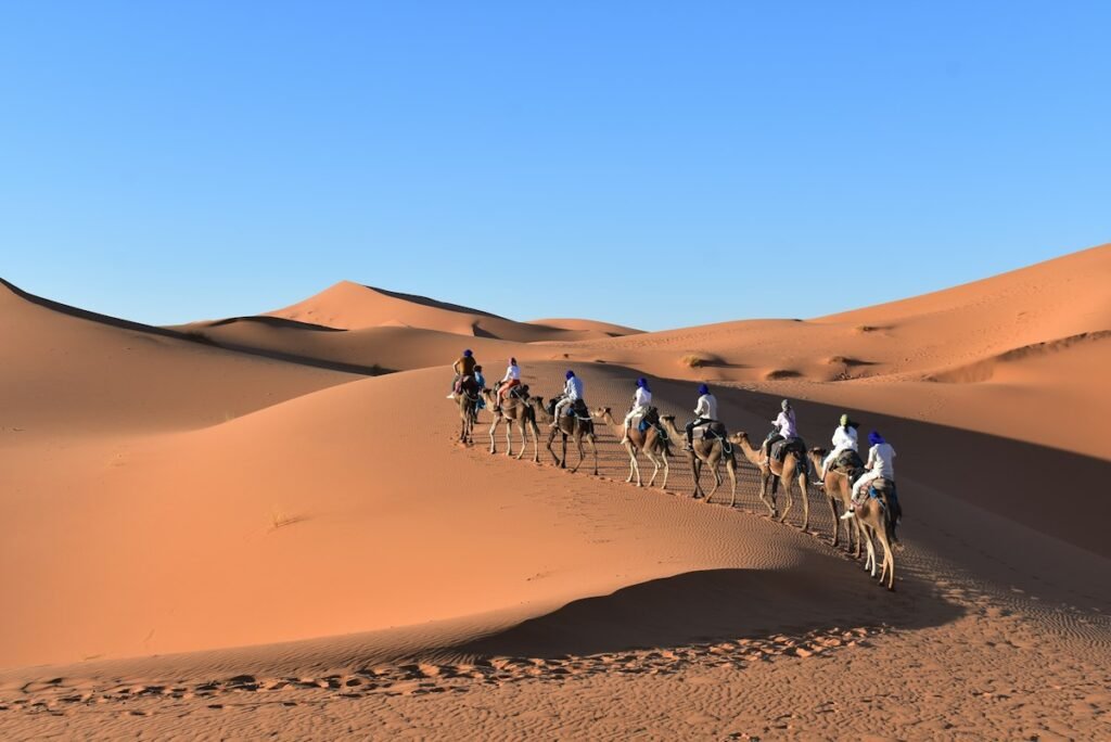 Camel caravan on a dune ridge in Erg Chebbi, where you spend two nights of the Morocco 7-day itinerary